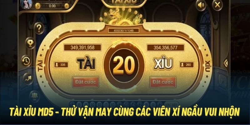 Tài Xỉu MD5 - Thử Vận May Cùng Các Viên Xí Ngầu Vui Nhộn