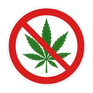Image de l'article : 🌿 CBD et conduite : que dit la loi en 2025