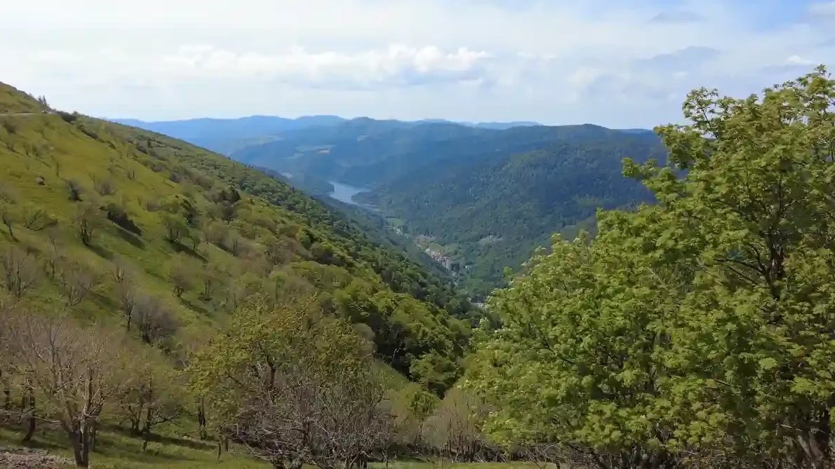 Magnifique vue sur une vallée vosgienne sur l'itinéraire de la route des Crêtes des Vosges