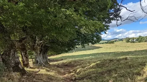 Paysage bucolique d'Auvergne sur la route des Volcans d'Auvergne